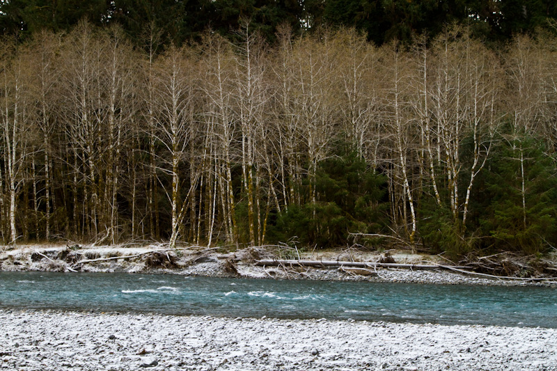 The Hoh River